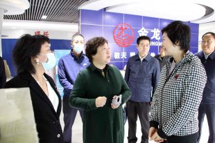 甘肅省委組織部副部長、人力資源和社會保障廳黨組書記、廳長周麗寧、白銀市副市長賈汝昌、景泰縣縣長張文玲等一行領導對金龍公司、諾克公司 視察指導工作